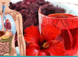 კარკადეს შეუფასებელი მნიშვნელობა ადამიანის ორგანიმისთვის