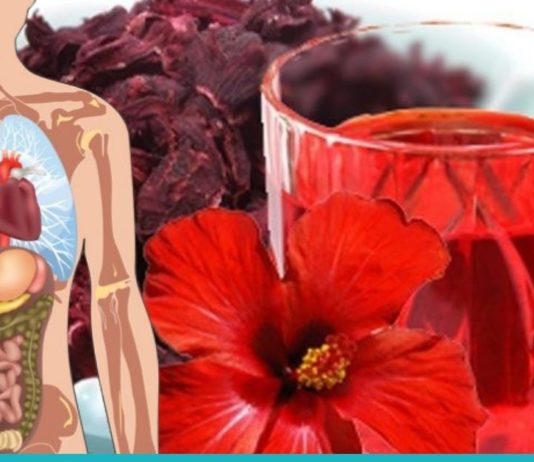 კარკადეს შეუფასებელი მნიშვნელობა ადამიანის ორგანიმისთვის