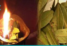 დაწვით დაფნის ფოთოლი თქვენს სახლში. რატომ? წაიკითხეთ სტატია