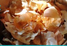 მას შემდეგ რაც ამას წაიკითხავთ, ხახვის ფურცლებს აღარ გადაყრით. ის, რაც უმრავლესობამ არ იცის