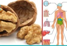 მიირთვით მხოლოდ 5 ნიგოზი და ნახეთ რა მოხდება 4 საათში. აუცილებლად უნდა სცადოთ