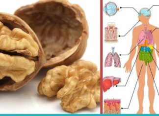 მიირთვით მხოლოდ 5 ნიგოზი და ნახეთ რა მოხდება 4 საათში. აუცილებლად უნდა სცადოთ