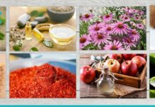10 ბუნებრივი ანტიბიოტიკი-საჭირო და სასარგებლო ინფორმაციაა