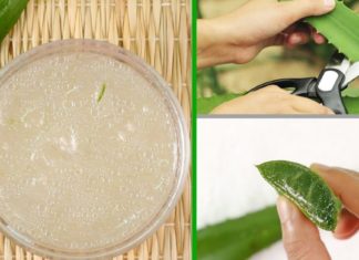 ალოე ვერას გამორჩეული და აქამდე უცნობი ხალხური რეცეფტები