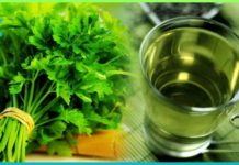 ოხრახუშის ეს რეცეპტი გახდომაში დაგეხმარებათ! მოგეწონებათ…