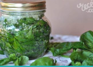 ღმერთმა ეს ბუნებრივი ანტიბიოტიკი შექმნა ადამიანებისთვის! ის მრავალი პრობლემის გადაჭრაში დაგეხმარებათ