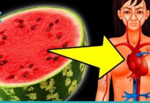 გიყვართ საზამთრო? მაშინ უნდა იცოდეთ, როგორ მოქმედებს იგი თქვენს სხეულზე.