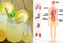 5 მიზეზი, რატომ უნდა დავლიოთ დილით უზმოზე წყალი ლიმნით… ხვალიდან ვიწყებ!!!