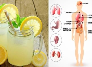 5 მიზეზი, რატომ უნდა დავლიოთ დილით უზმოზე წყალი ლიმნით… ხვალიდან ვიწყებ!!!