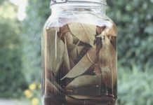 შარდის შეუკავებლობით ვიტანჯებოდი, რა აღარ ვცადე, მაგრამ მხოლოდ ამან მიშველაა…