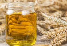 ხორბლის  ღივების ზეთის სამკურნალო და კოსმეტიკური თვისებები. გაოცებული დარჩებით როცა ამ სტატიას გაეცბობით.