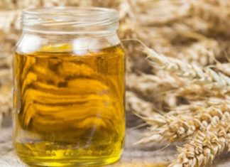 ხორბლის  ღივების ზეთის სამკურნალო და კოსმეტიკური თვისებები. გაოცებული დარჩებით როცა ამ სტატიას გაეცბობით.