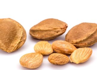 აი, რატომ არ უნდა გადაყაროთ გარგარის კურკა! მიზეზები გაგაოცებთ