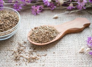 რა განსაკუთრებული თვისებები აქვს კატაბალახას?