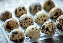 რაში მდგომარეობს მწყერის კვერცხის საიდუმლო?