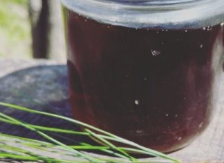 შესანიშნავი ნატურალური ნაყენი ფიჭვის წიწვების დამატებით  არტერიული წნევის შესამცირებლად.