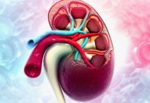 ექიმები ამაზე არ საუბრობენ, თუმცა თირკმელების გაწმენდა ამ გზით ყველაზე ეფექტურია და ამავდროულად ძალიან მარტივიც.