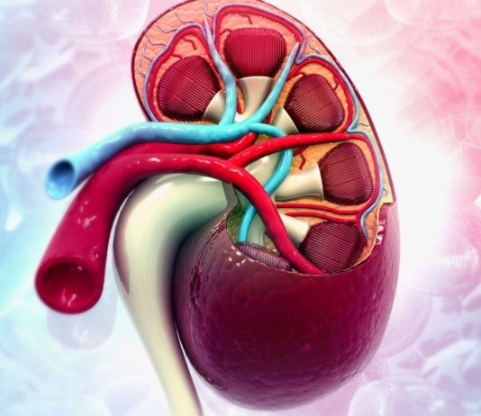 ექიმები ამაზე არ საუბრობენ, თუმცა თირკმელების გაწმენდა ამ გზით ყველაზე ეფექტურია და ამავდროულად ძალიან მარტივიც.