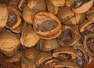 არ გადააგდოთ ნიგვზის გარსი- ის დაავადებებს კურნავს!