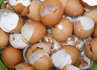 რატომ უნდა შეინახოთ კვერცხის ნაჭუჭი? საინტერესოა