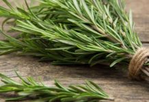 თუ გრძნობთ, რომ გონება და სხეული დაგეღალათ, გამოიყენეთ ეს ძლიერი და არომატული ბალახი. ის თქვენ ენერგიით აგავსებთ!