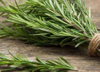 თუ გრძნობთ, რომ გონება და სხეული დაგეღალათ, გამოიყენეთ ეს ძლიერი და არომატული ბალახი. ის თქვენ ენერგიით აგავსებთ!