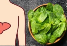 როგორ გავიწმინდოთ ღვიძლი და აღვიდგინოთ მისი მუშაობა სახლის პირობებში?