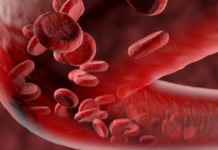 სისხლის გათხელება სასიცოცხლოდ მნიშვნელივანია. გაიმარტივეთ პრობლემა ამ რეცეფტებით