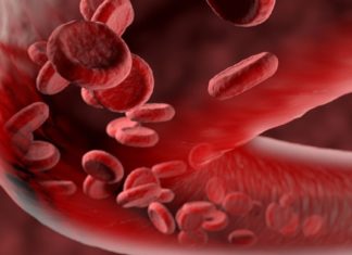 სისხლის გათხელება სასიცოცხლოდ მნიშვნელივანია. გაიმარტივეთ  პრობლემა ამ რეცეფტებით