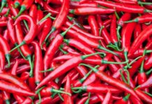 ეს 2 გამორჩული მცენარე თითქმის ყველა დაავადებას უმოკლეს დროში კურნავს