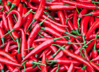 ეს 2 გამორჩული მცენარე თითქმის ყველა დაავადებას უმოკლეს დროში კურნავს