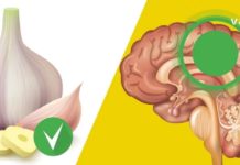 აი, რატომ უნდა მიირთვათ ნიორი უზმოზე. მისი სასარგებლო თვისებების შესახებ ყველამ უნდა იცოდეს