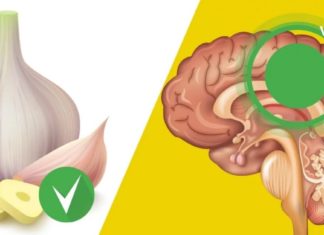 აი, რატომ უნდა მიირთვათ ნიორი უზმოზე. მისი სასარგებლო თვისებების შესახებ ყველამ უნდა იცოდეს