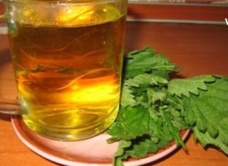 დიაბეტი, პროსტატა, თირკმელების დაზიანება, თმის ცვენა- ეს ის პრობლემებია, რომლებსაც ჭინჭრის დახმარებით განკურნავთ!