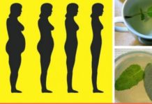 მცენარეების ჩამონათვალი, რომლებიც ხელს უწყობს წონაში კლებასა და ნივთიერებათა ცვლას