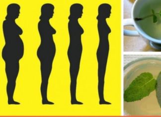 მცენარეების ჩამონათვალი, რომლებიც ხელს უწყობს წონაში კლებასა და ნივთიერებათა ცვლას