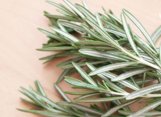 თუ მეხსიერების პრობლემა გაწუხებთ, როზმარინს შეუძლია ამ პრობლემის მოგვარებაში მარტივად დაგეხმაროთ!