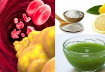 მიიღეთ ეს ნაყენი ყოველდღე და სისხლში ცხიმის დაგროვება შეწყდება, წონაში კი არ მოიმატებთ