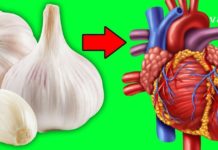 ნიორი გულის ჯანმრთელობისთვის ფასდაუდებელი პროდუქტია. აი, როგორ უნდა მიიღოთ ის