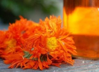 გულყვითელას გამაოგნებელი სამკურნალო ნაყენი, რომელიც ყველამ უნდა მოამზადოს. ამით მკურნალობა გიხსნით უამრავი დაავადებისგან!