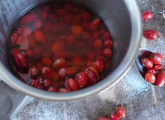 როგორ მოვამზადოთ ასკილი ისე, რომ არ დაკარგოს სამკურნალო თვისებები