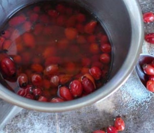 როგორ მოვამზადოთ ასკილი ისე, რომ არ დაკარგოს სამკურნალო თვისებები