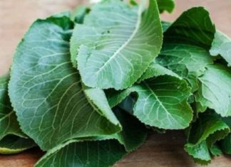 ამ სტატიაში გიამბობთ მცენარის შესახებ, რომელიც სამასზე მეტ დაავადებას კურნავს და მას პირშუშხა ეწოდება.