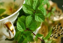 პიტნის სასარგებლო თვისებები ჩვენი ჯანმრთელობისთვის. გაეცანით მისი გამოყენების 10 გზას.