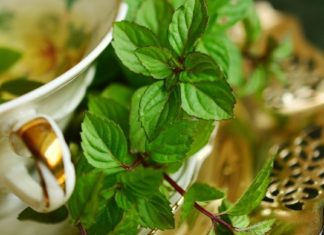 პიტნის სასარგებლო თვისებები ჩვენი ჯანმრთელობისთვის. გაეცანით მისი გამოყენების 10 გზას.