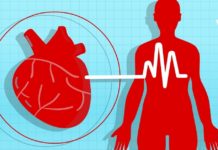 კოქტეილი ჰიპერტონიკებისთვის – შედეგი უმოკლეს დროში