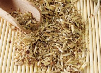 როგორ უნდა გამოიყენოთ ტირიფი ვარიკოზის, რევმატიზმისა და ართრიტის სამკურნალოდ?