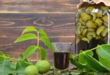 ბუნებრივი წამალი, რომელიც გაგიუმჯობესებთ მხედველობას, დაგავიწყებთ კუჭ-ნაწლავისა და ფარისებრი ჯირკვლის პრობლემებს.