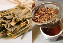 დიაბეტს ვმკურნალობ ვერხვის ქერქით. ამის შესახებ ჯერ კიდევ ბევრმა არ იცის!