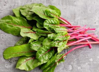 ჭარხლის ფოთლების უნიკალური სამკურნალო თვისებები, რომელთა შესახებ აქამდე არ გსმენიათ.